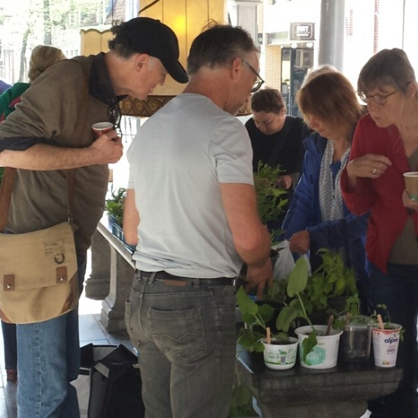 Stekjesmarkt op Hemelvaartsdag